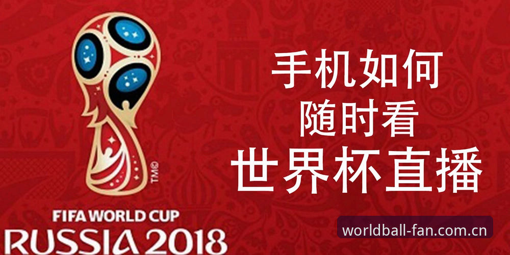 手机世界杯2025版最新动态：简体版登录入口变更，客户端安装实测与常见问题解答